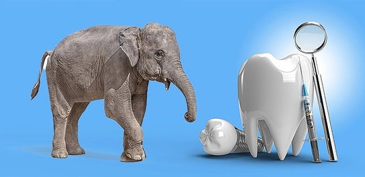What Elephants have to do with Dental Implants