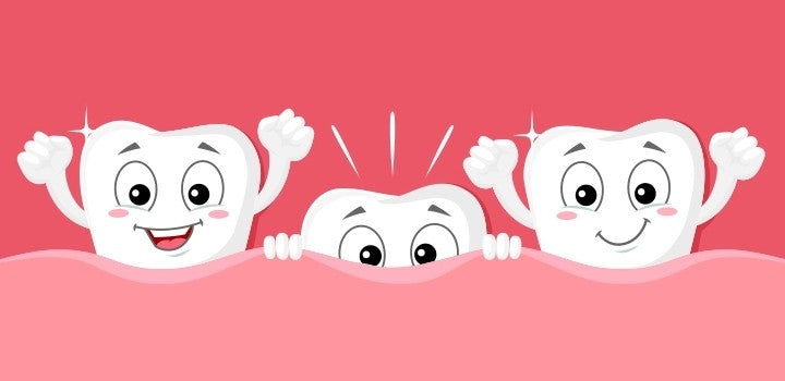 Fun Facts About Your 3rd Set of Teeth