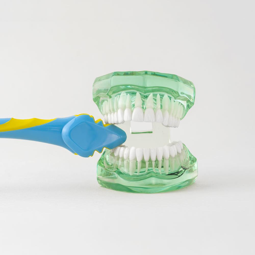 Brush and Bite Dual Purpose Handles - Triple Bristle